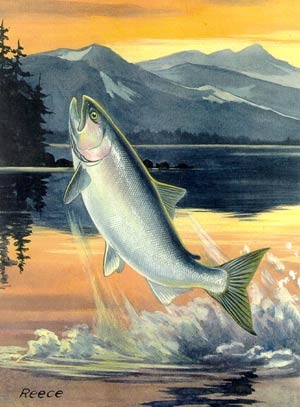 El salmón de la sabiduria, en un lago irlandés (supongo)